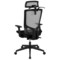 Emma and Oliver Ergonomic Mesh Office Chair-Synchro-Tilt, Pivot Headrest, Adjustable Arms